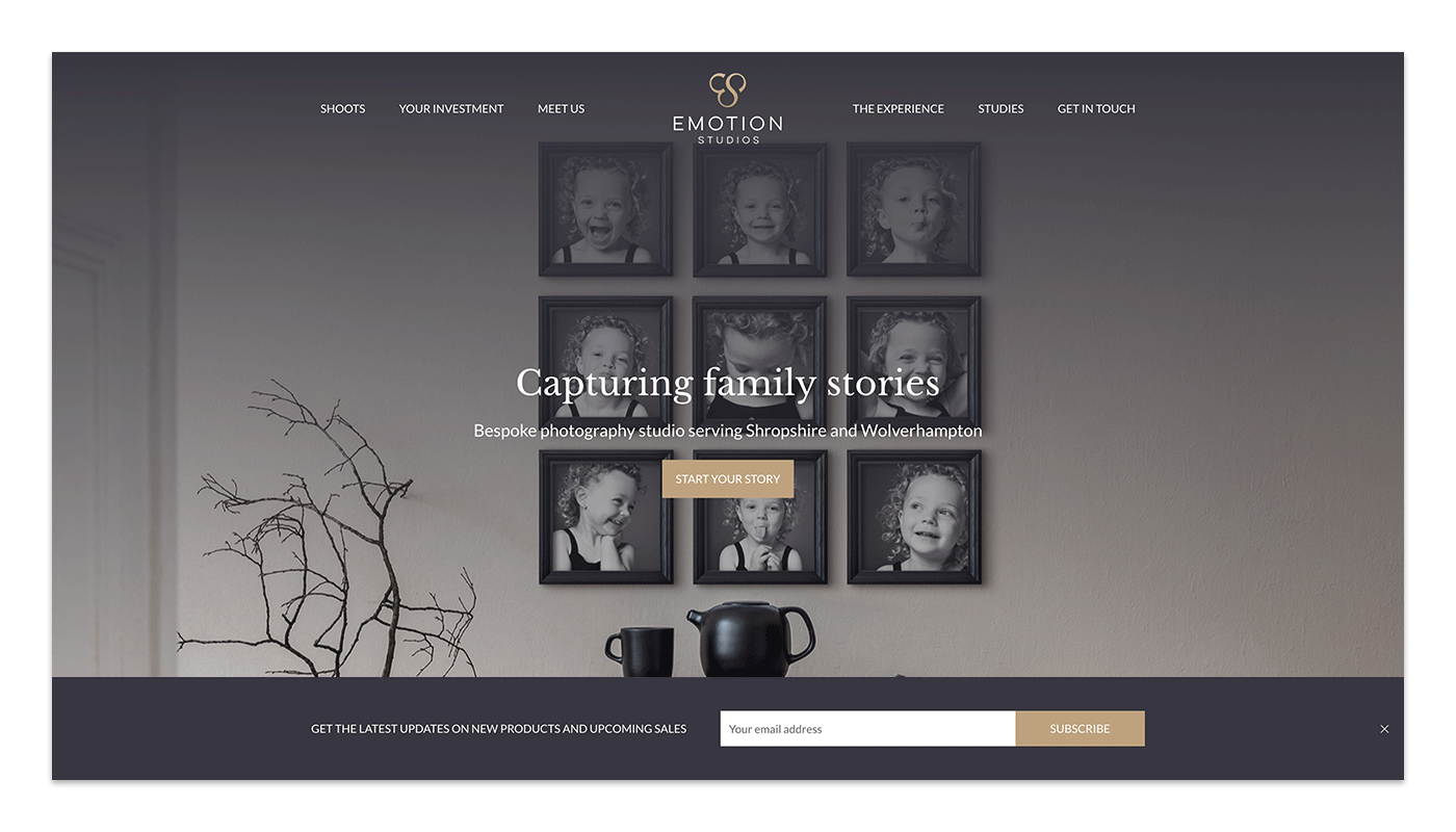 New Emotion Studios Newsletter Signup
